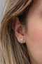Heliophilia Silver Pendientes de Plata de Ley 925 con Oro Rosa y Circón